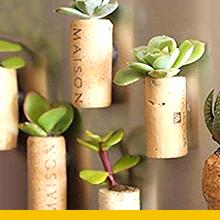 Art &amp;amp;amp; Crafts, DIY