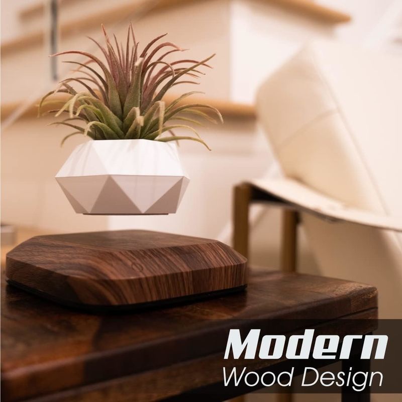 OEM/ODM Floating Levitating Plant Pot Holder For Air Plants Room Decor Tech Toys