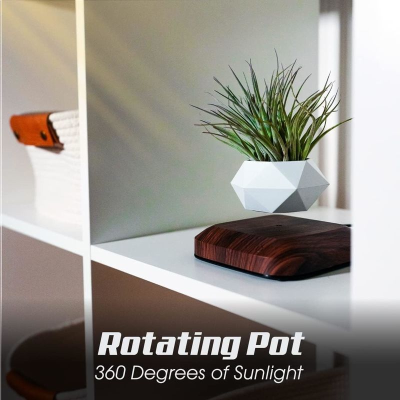 OEM/ODM Floating Levitating Plant Pot Holder For Air Plants Room Decor Tech Toys