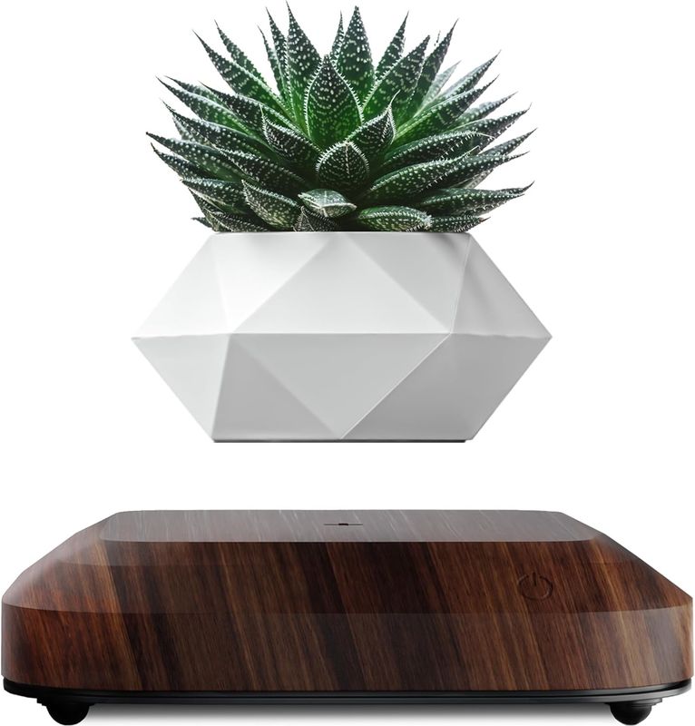 OEM/ODM Floating Levitating Plant Pot Holder For Air Plants Room Decor Tech Toys